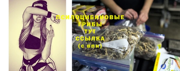 дмт Алзамай