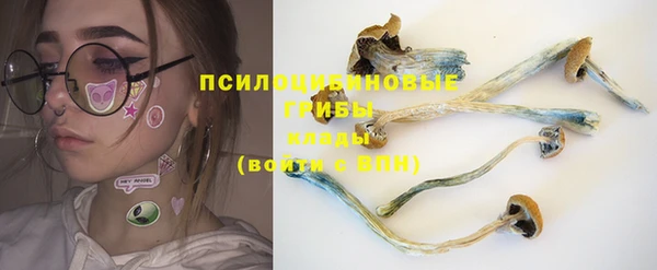 сатива Алексеевка
