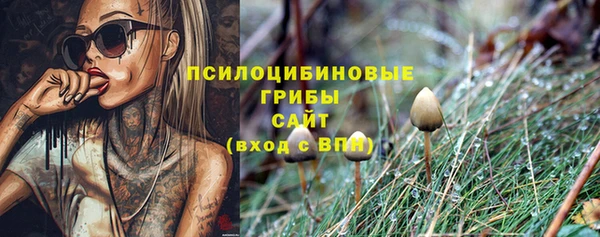 синтетический гашиш Покачи
