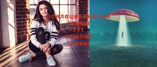 прущие крисы Алексин